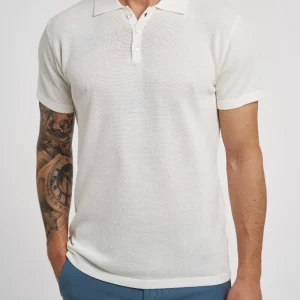 Polo manica corta Daniele Fiesoli in cotone