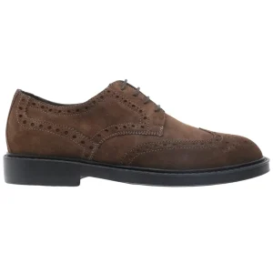 Scarpa Derby Antica Cuoieria modello 22940 in camoscio marrone
